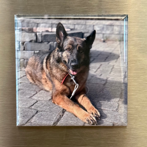 Custom Photo Magnets